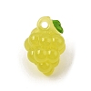 Opaque Resin Imitation Fruit Pendants RE-CBAE54B-02D-1