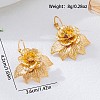 Alloy Dangle Earrings for Women WGBE734-01-3