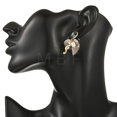 2 Pairs Paua Shell with Non-Tarnish 201 Stainless Steel Stud Earrings EJEW-JE07477-1