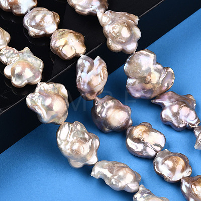 Baroque Natural Nucleated Keshi Pearl Beads Strands PEAR-S020-A02-1