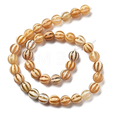 Natural Tibetan Agate Striped Beads Strands G-NH0037-B02-02-1