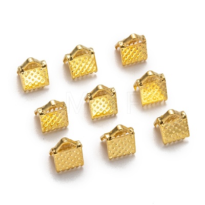 Iron Ribbon Crimp Ends IFIN-ZX025-G-1