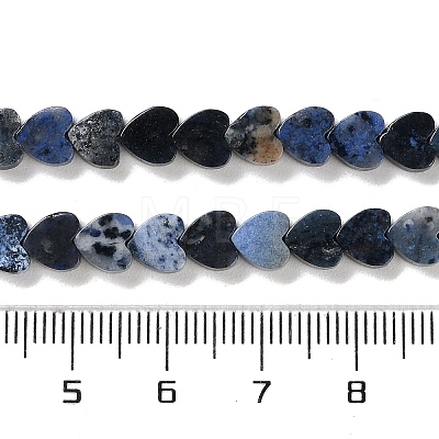 Natural Sodalite Beads Strands G-M403-A08-02-1