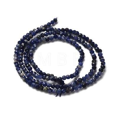 Natural Sodalite Beads Strands G-RM2025-A19-2mm-B-1