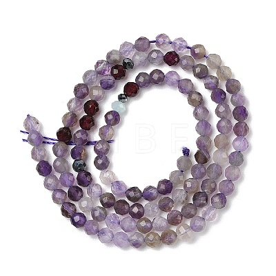 Natural Amethyst Beads Strands G-G189-D23-06-1