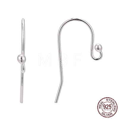 925 Sterling Silver Earring Hooks STER-A002-229-1