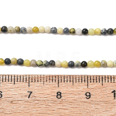 Natural Yellow Turquoise(Jasper) Beads Strands G-Z116-A19-2mm-1
