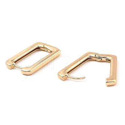Brass Hoop Earrings EJEW-I289-05KCG-1