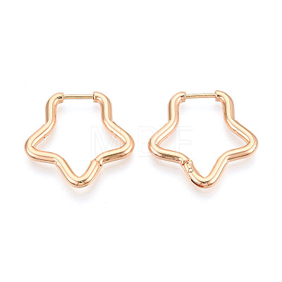 304 Stainless Steel Hoop Earrings STAS-T074-21G-1