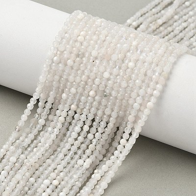 Natural Moonstone Beads Strands G-C201-B06-3mm-1