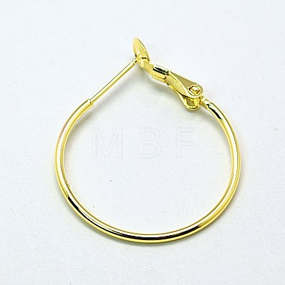 Brass Hoop Earrings EC259-G-1