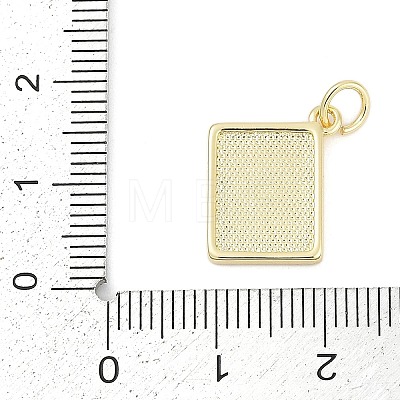 Brass Enamel Charms KK-G522-44G-02-1