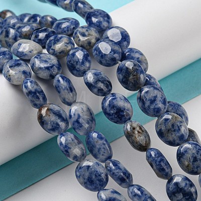 Natural Blue Spot Jasper Beads Strands G-M420-D08-01-1