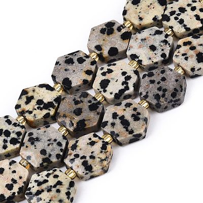 Natural Dalmatian Jasper Beads Strands G-N368-01A-03-1