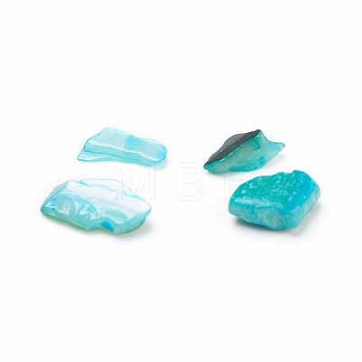 Natural Freshwater Shell Beads LS-X-BSHE-I011-03B-1