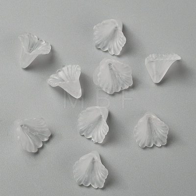Transparent Acrylic Beads X-PL622-9-1