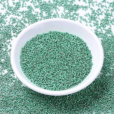 MIYUKI Delica Beads SEED-MY11-DB1182-1