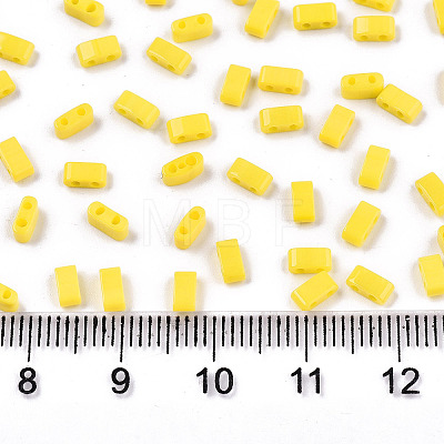 FGB 2-Hole Glass Seed Beads SEED-S031-M-SH42-1
