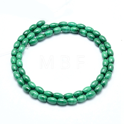 Natural Malachite Beads Strands G-D0011-09A-1