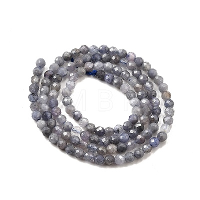 Natural Tanzanite Beads Strands LS-G-S387-A01-3mm-1