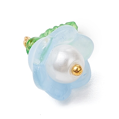 Glass Pendants PALLOY-MZ00837-05-1