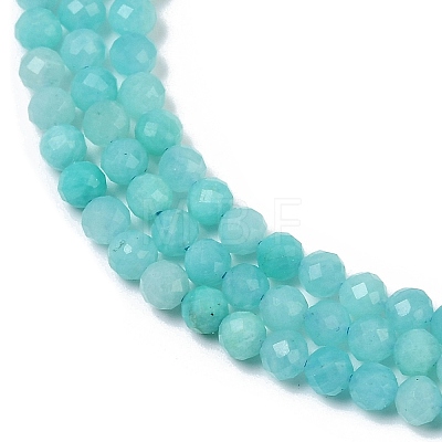 Natural Amazonite Beads Strands X-G-I379-A02-02-1
