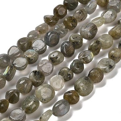 Natural Labradorite Beads Strands G-P497-01E-47-1