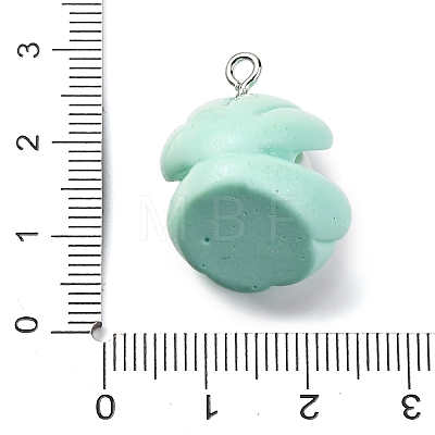 Opaque Resin Pendants RESI-P043-01P-01-1