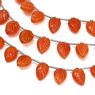 Natural Carnelian Carved Beads Strands GG-CBA0C95-E06-1