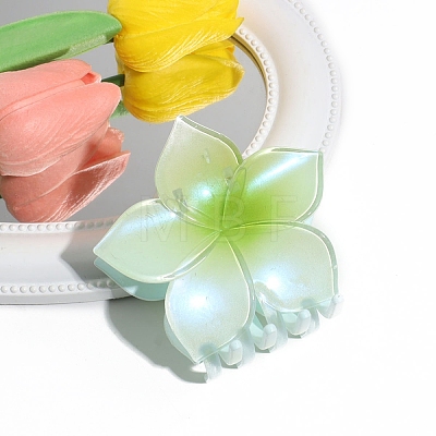 Gradient Color Plastic Claw Hair Clips PW-WG7DD1F-05-1