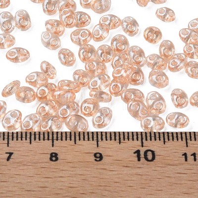 Transparent Czech Glass Seed Beads SEED-N004-005-C06-1