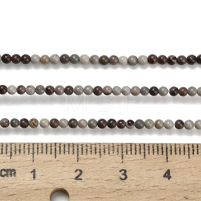 Natural Red Dendritic Jasper Beads Strands G-Z116-A27-2mm-1