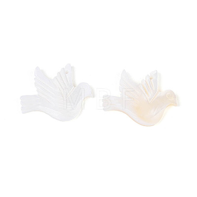 Natural Freshwater Shell Carved Pendants BSHE-T014-30-1