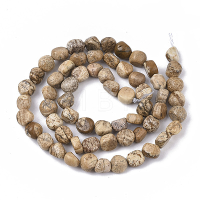 Natural Picture Jasper Beads Strands G-S363-060-1