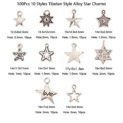 100Pcs 10 Styles Tibetan Style Alloy Star Charms TIBEP-CJ0001-48-1