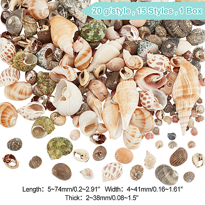   300G 15 Styles Natural Mixed Shell Beads SSHEL-PH0001-24-1