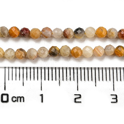 Natural Crazy Lace Agate Beads Strands G-K020-3mm-29-1