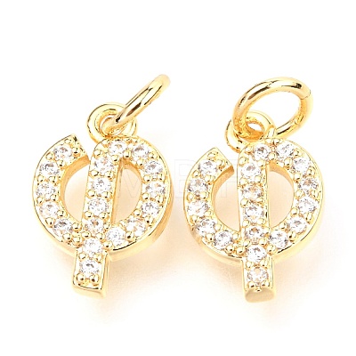 Brass Micro Pave Cubic Zirconia Charms ZIRC-O037-16G-1