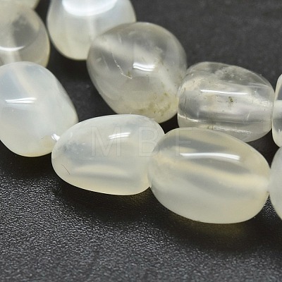 Natural White Moonstone Beads Strands X-G-O186-C-04-1