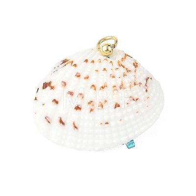 Glass Seed Baeded & Natural Shell Pendants PALLOY-MZ01370-01-1