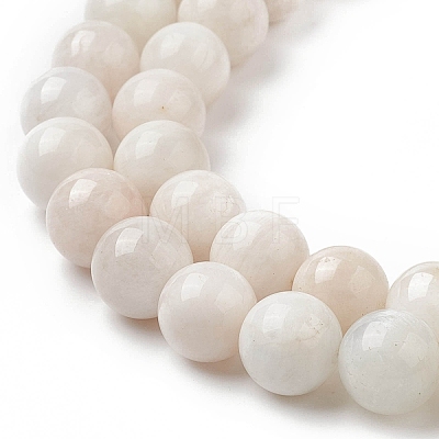 Natural Grey Moonstone Beads Strands G-I279-C01-10mm-A-1