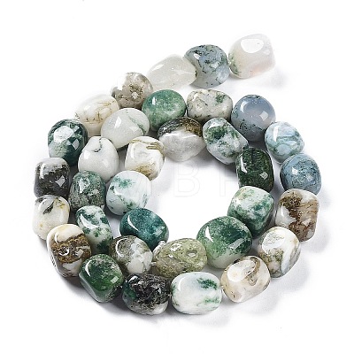 Natural Tree Agate Beads Strands G-C038-02O-1
