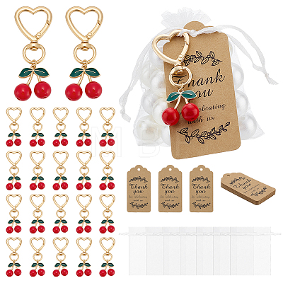 24Pcs Resin Cherry Pendant Decorations HJEW-PH02399-1
