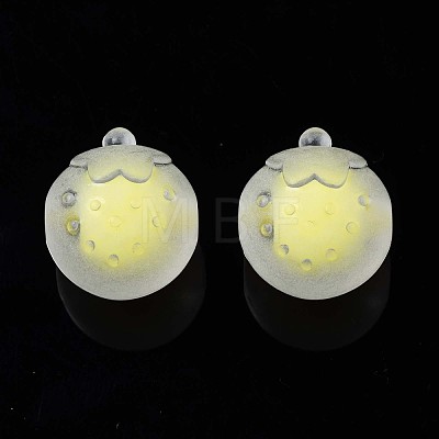 Transparent Acrylic Beads TACR-S135-019-1