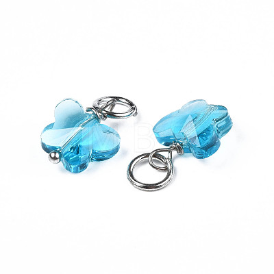 Faceted Transparent Glass Charms GLAA-T024-06E-1