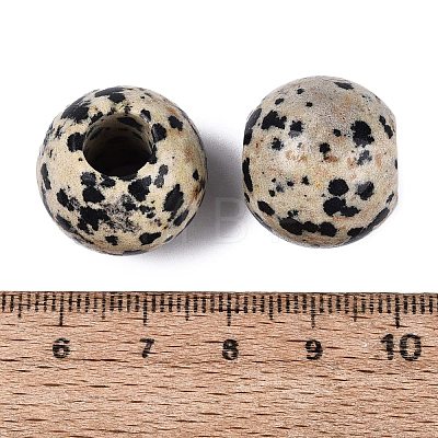 Natural Dalmatian Jasper Beads G-Q608-05G-1