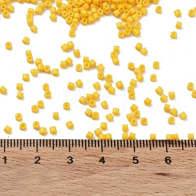 Baking Paint Glass Seed Beads X-SEED-S042-05B-82-1