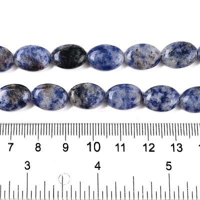 Natural Blue Spot Jasper Beads Strands G-M206-40-1