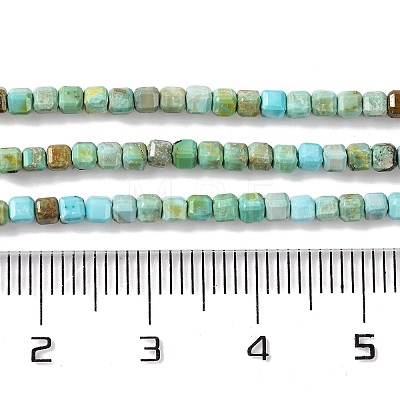 Natural Howlite Beads Strands G-G001-A02-05-1