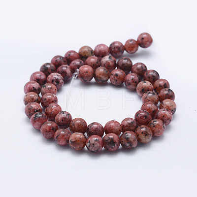 Natural Larvikite Beads Strands X-G-E443-A19-1